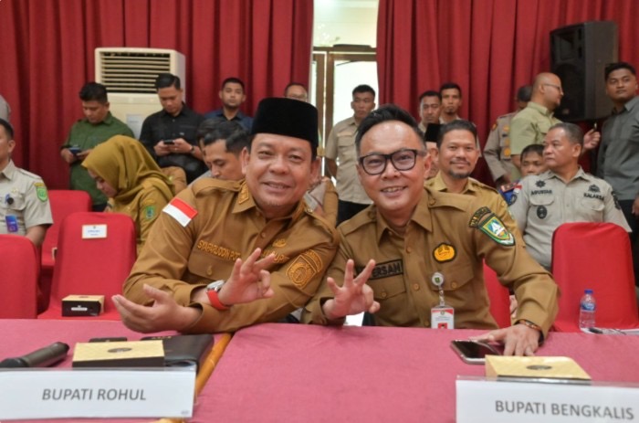 Pemkab Bengkalis Siap Berkolaborasi Hadapi Karhutla