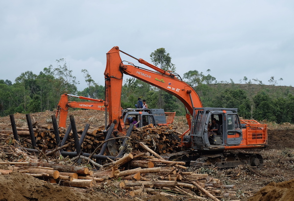 30 Orang Diperiksa, Mabes Polri Selidiki Perambahan Hutan di Inhu