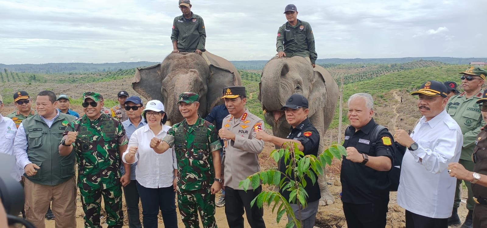 Aktivitas di TNTN Ditertibkan Satgas PKH: Diberi Waktu Tenggat 3 Bulan untuk Relokasi Mandiri