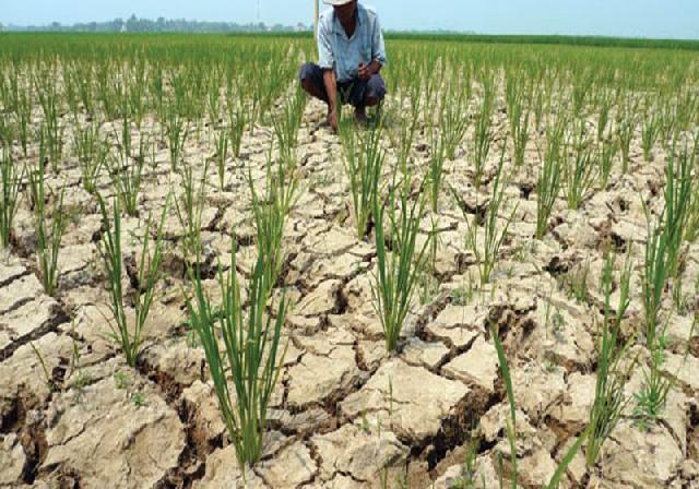 Berdampak Buruk bagi Petani