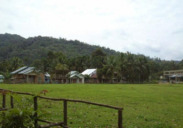 Tanah Ulayat Digerogoti Perusahaan