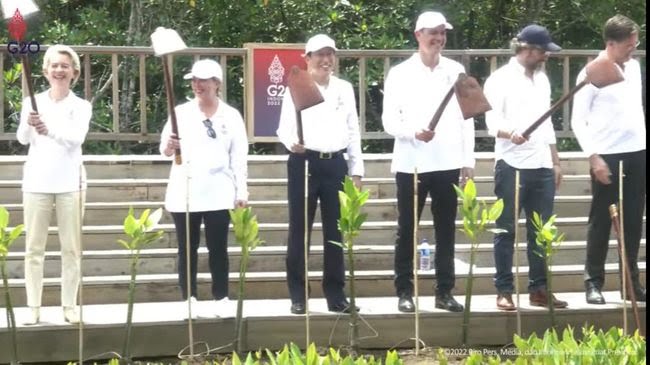 Pemimpin G20 Tanam Mangrove, Kolaborasi Atasi Perubahan Iklim