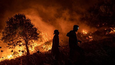 17 Ribu Hektare Hutan di Kolombia Terbakar