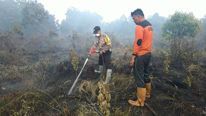 Pemerintah Harus Edukasi Semua Pihak Terkait Pembakaran Lahan Secara Tradisional