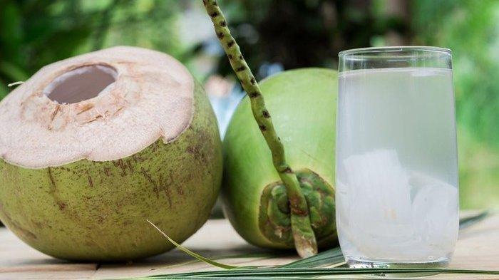 Bukan dari Rembasan Air Hujan, Ini Asal Air Kelapa