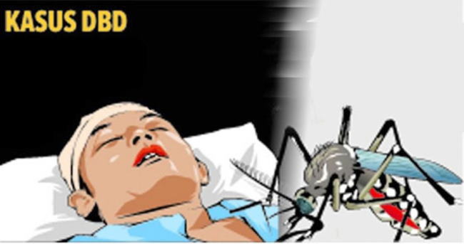 Hingga Pekan Pertama September, 458 Warga Pekanbaru Terserang DBD