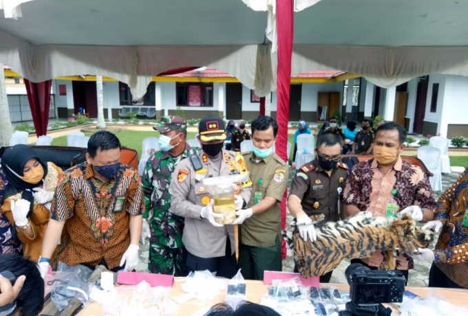 Kejari Pelalawan Musnahkan Barang Bukti Hasil Kejahatan, Kulit Harimau hingga Narkoba