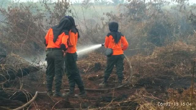 Besok, Pemprov Riau Tetapkan Status Siaga Darurat Karhutla