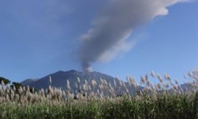 BNPB: Abu Vulkanis Gunung Raung Capai Bali dan Lombok