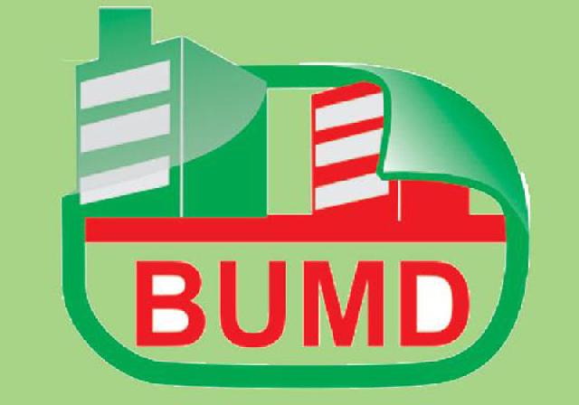 Sektor Pajak dan Dividen BUMD Jadi Solusi