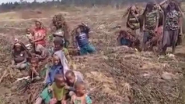 Tiga Orang Meninggal karena Kelaparan di Papua, Ini Kata Ketua DPR