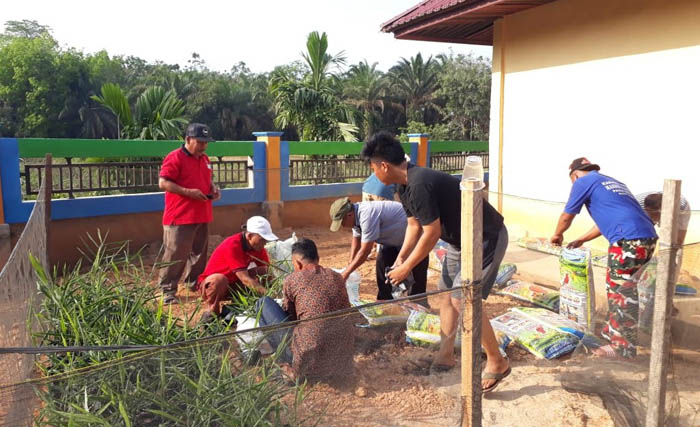 Manfaatkan Pekarangan Rumah Warga, Ini yang Dilakukan Tim Kukerta Unri di Pasir Ringgit