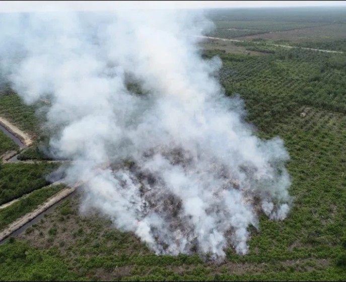 Karhutla Kembali Terjadi di Siak, 2 Hektar Lebih Lahan Gambut di Kampung Bunsur Terbakar