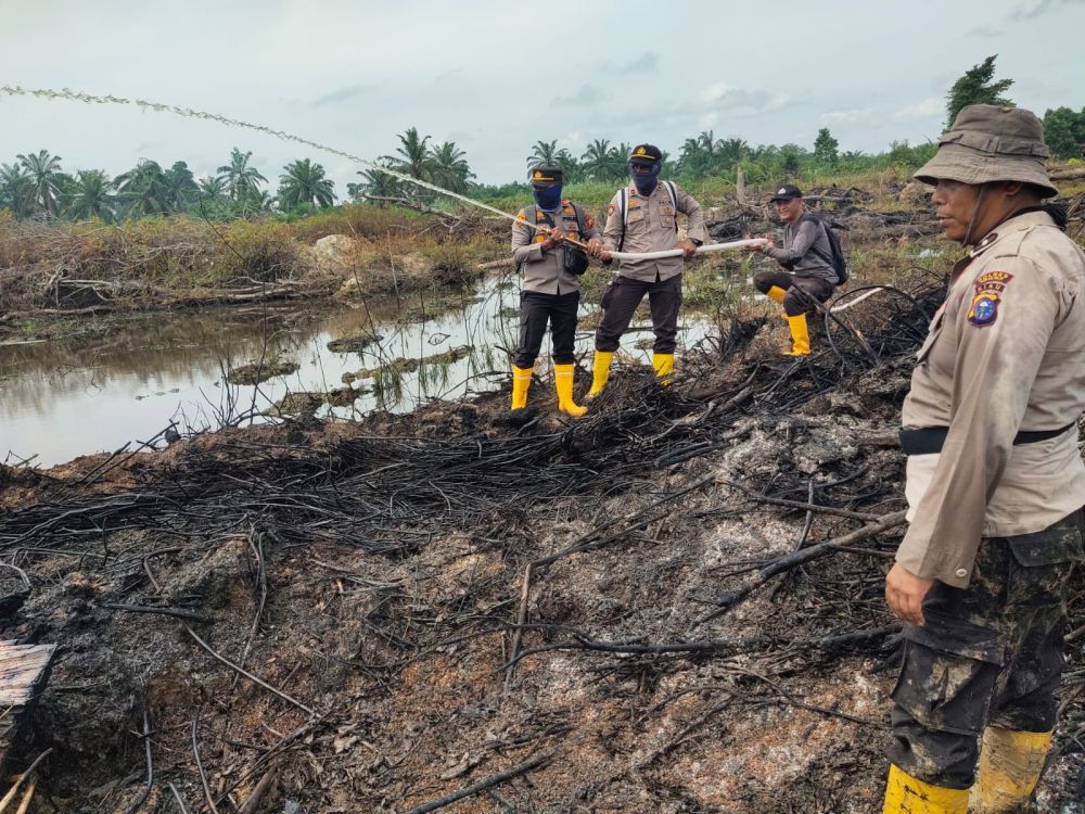 Polisi Amankan Pelaku Pembakaran Kawasan Hutan Produksi di Rohil