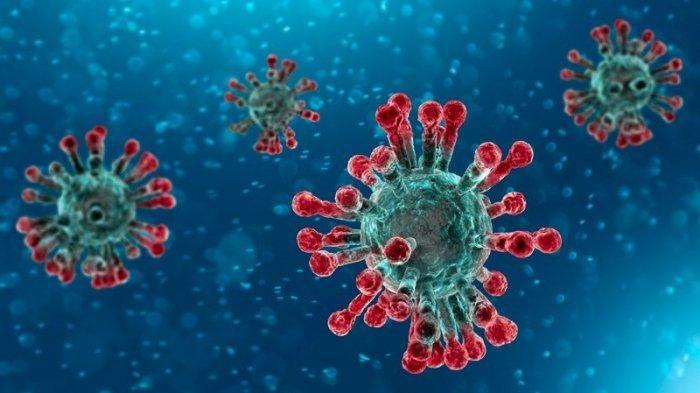 Benarkah Virus Corona Buatan Manusia? Ilmuan Ungkap Hasil Riset Terbaru