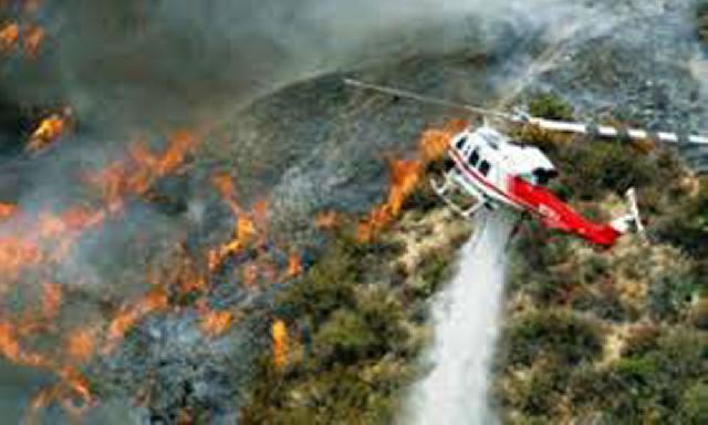 Bupati Terima Piagam dari Mendagri