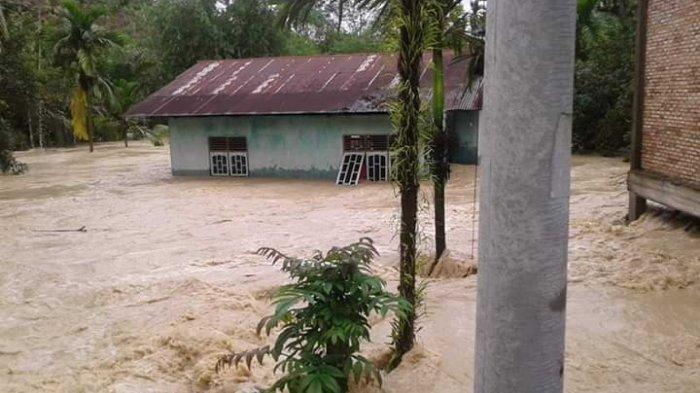 Banjir Rendam Ratusan Rumah di Kuansing, Ketinggian Air Capai Lima Meter 