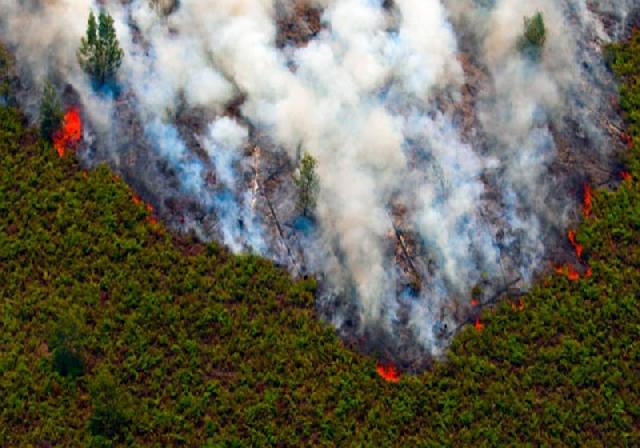 70 Hektare Lebih Terbakar