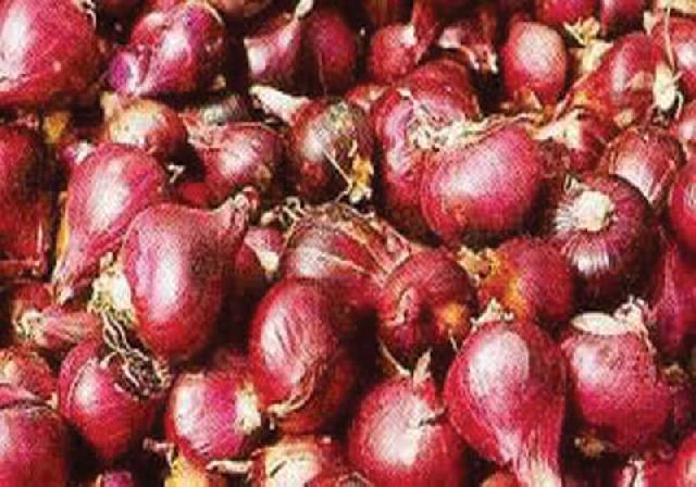 Harga Bawang Merah di Pelalawan Naik Dua Kali Lipat