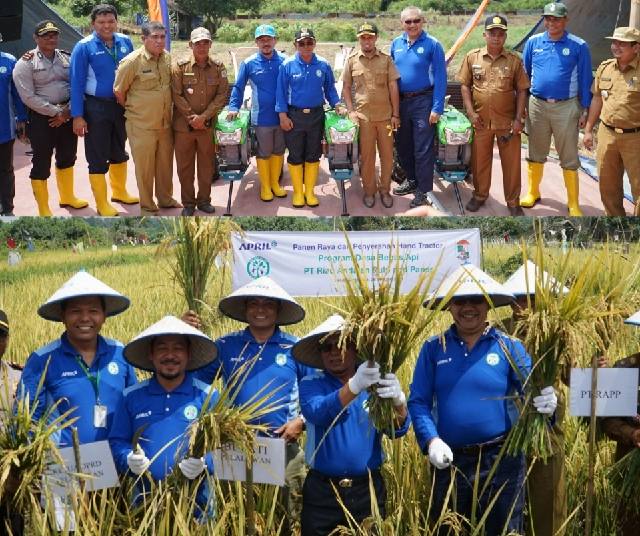 Didukung Program Desa Bebas Api PT RAPP, Desa Sungai Ara Panen Raya Perdana