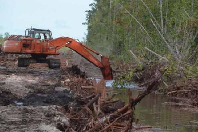 Kerusakan Lingkungan Sebabkan Banjir
