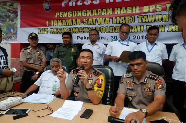 Polda Riau dan BBKSDA Riau Sita 44 Satwa Dilindungi