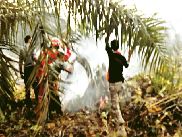 1,5 Hektare Lahan Terbakar