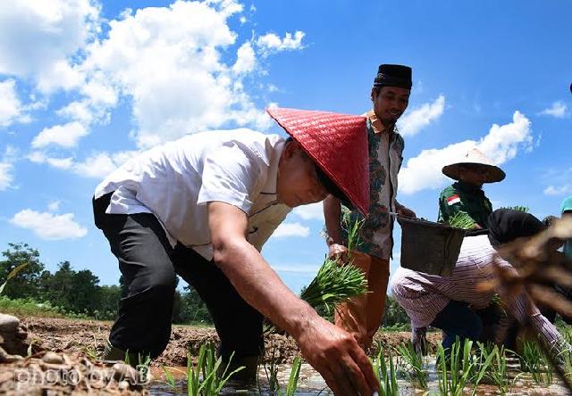 Ninik Mamak Pulau Balai Kuok Ajak Menangkan Firdaus-Rusli