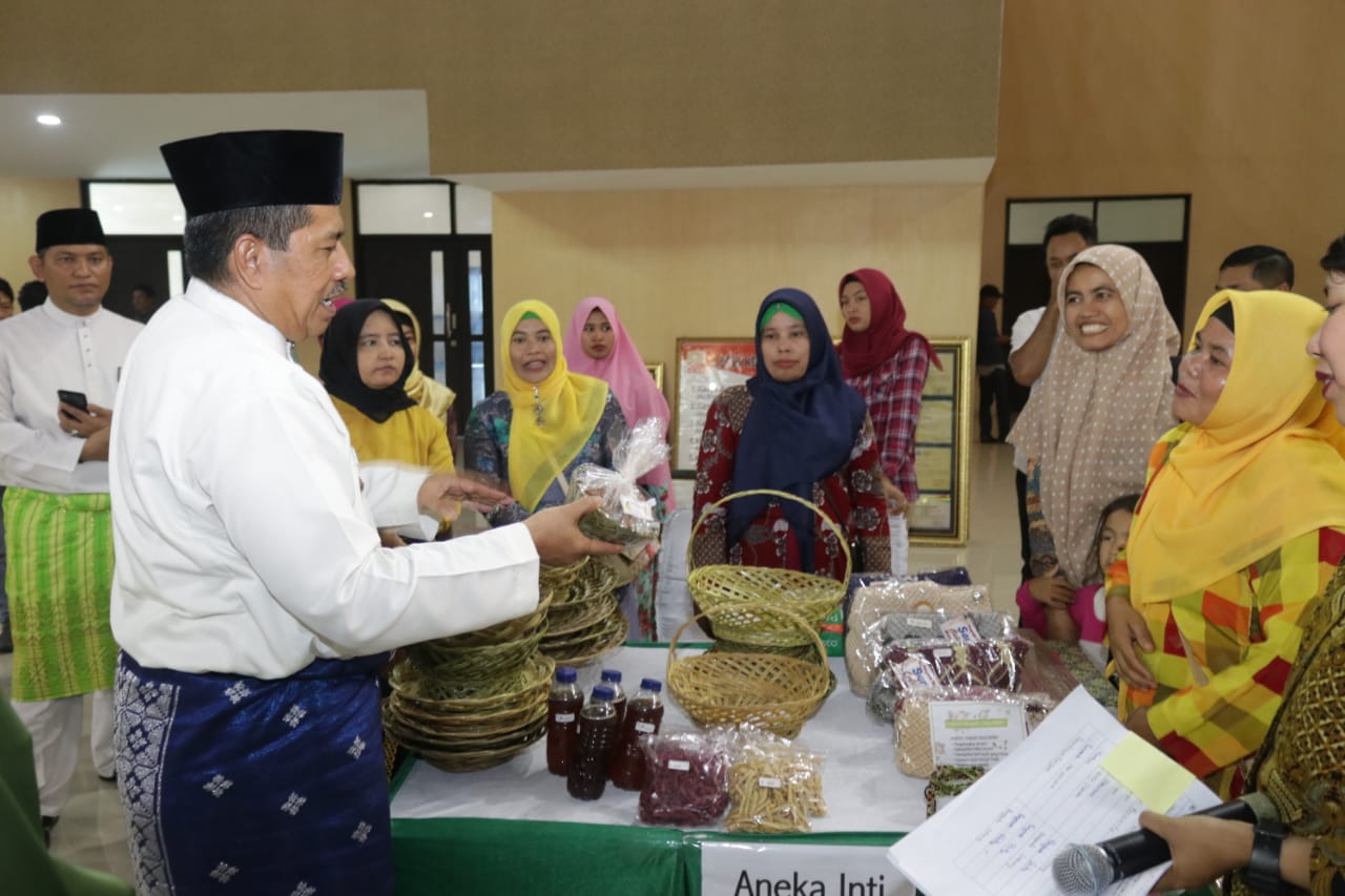 Bupati Siak Alfedri Paparkan Upaya Kabupaten Siak Melawan Karhutla