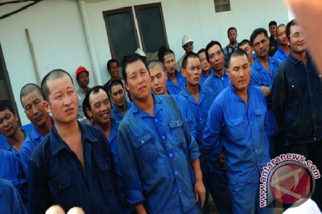 Tenaga Kerja Asing di Bintan Didominasi dari China