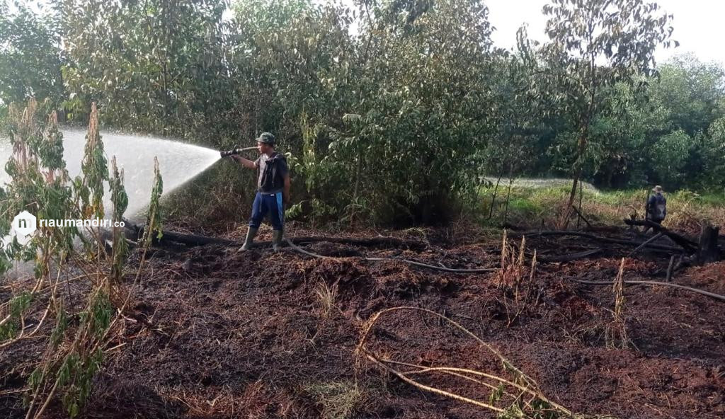 Karhutla di Desa Pulau Muda Saat Idul Adha, Satu Rumah Nyaris Terbakar