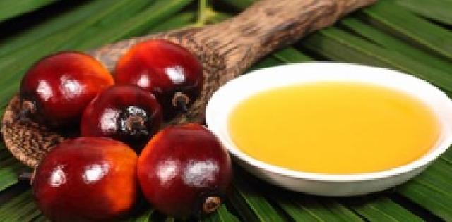 6 Manfaat Minyak Kelapa Sawit Bagi Kesehatan