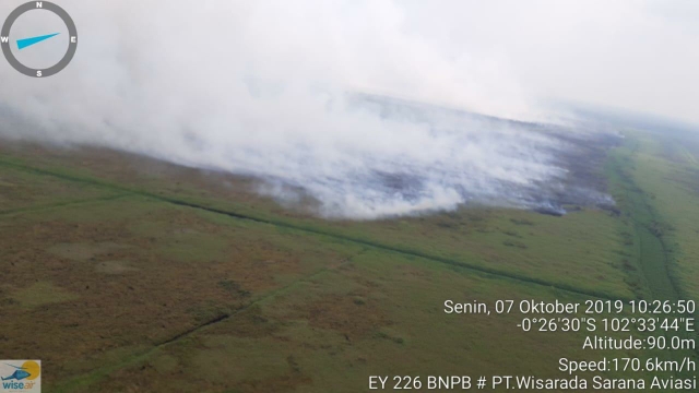 Karhutla Kembali Membara di Riau, Wagub: Semua Masih Bekerja di Lapangan