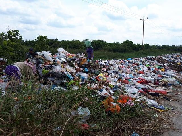 Dewan Minta DLH Pelalawan Evakuasi Tumpukan Sampah di Jalan Umum