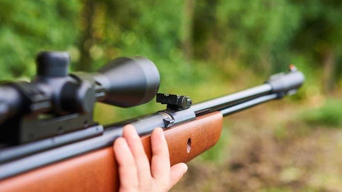 Bapak Tembak Mati Anaknya di Atas Pohon, Disangka Burung Lagi Bertengger