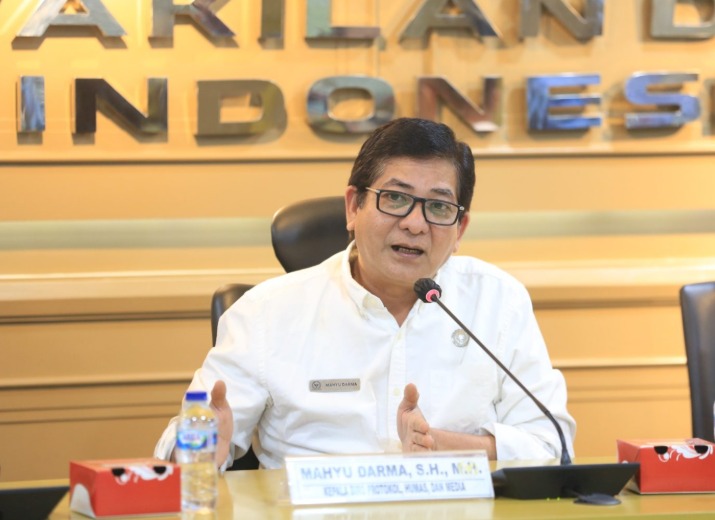 Viral Vtuber Sena, Mahyu Darma: Laporan Aktualisasi Seorang CPNS DPD RI Sedang Ikuti Latsar