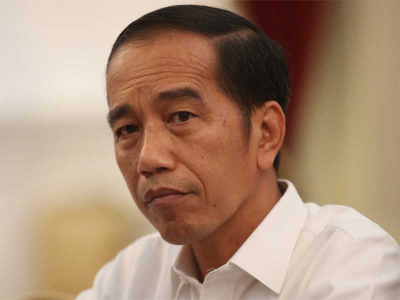 Mulyanto: Larangan Ekspor CPO Jokowi Ambyar Sebelum Dilaksanakan