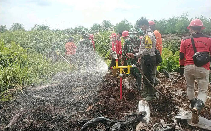 Satgas Karhutla Riau Catat Penurunan Signifikan Luas Kebakaran