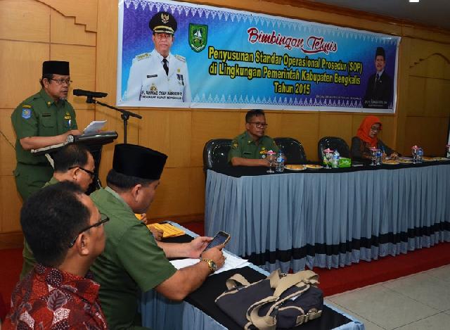 Sekda: Wujudkan Birokrasi Profesional