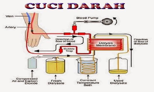 2016, Layani Pasien Cuci Darah