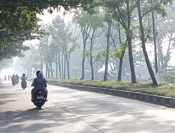 BMKG Pekanbaru: Kabut Biasa Bukan Asap dari Karhutal
