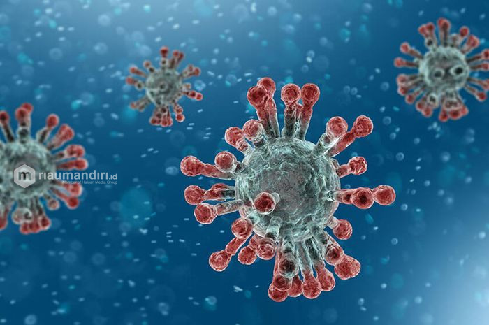 Kapolres Bulukumba Umumkan Dirinya Positif Covid-19 di WhatsApp