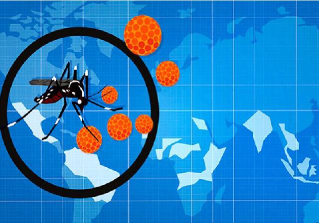 Indonesia Rentan Terhadap Virus Zika