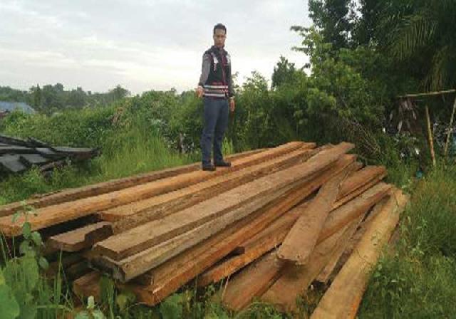 Sat Reskrim Polres Rohil Amankan 6 Ton Kayu Ilog