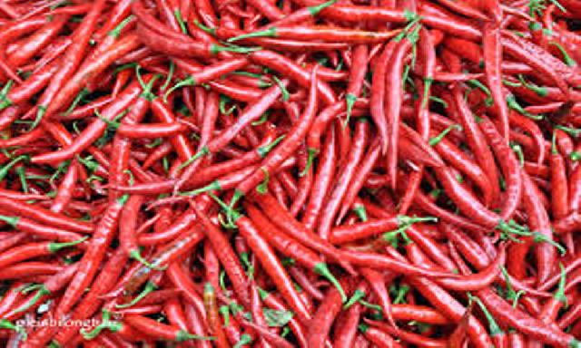 Harga Cabai Melambung