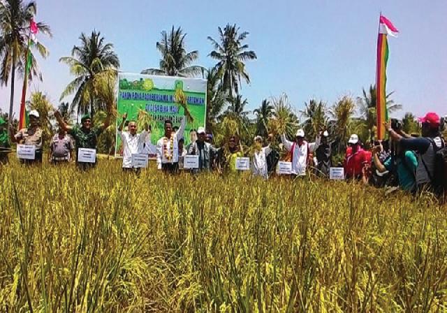 Peningkatan Produksi  Pertanian Harus  Didukung Semua Pihak