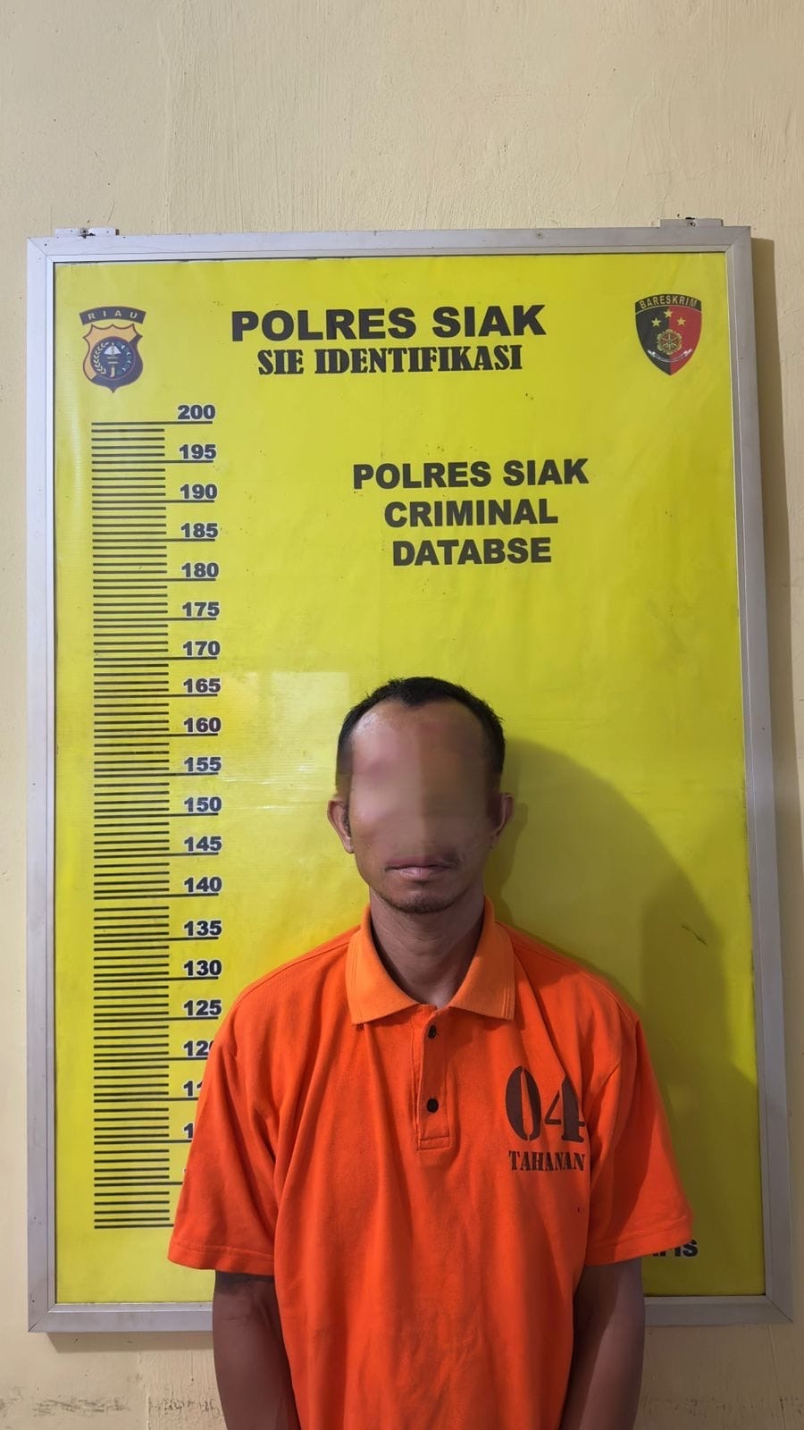 Tusuk Korban Pakai Pecahan Botol, Polsek Kandis Ringkus Pelaku di Kampad