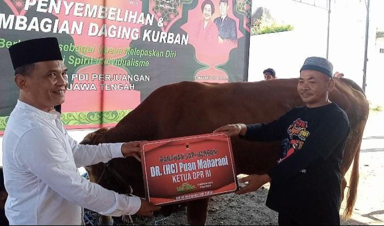 Puan Maharani Sumbang Sapi Kurban 1,3 Ton ke Bamusi PDIP Jateng