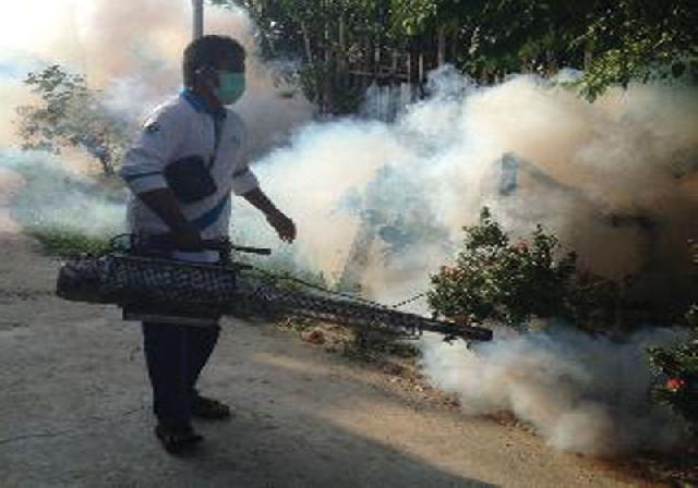 201 Warga Pekanbaru Terserang DBD