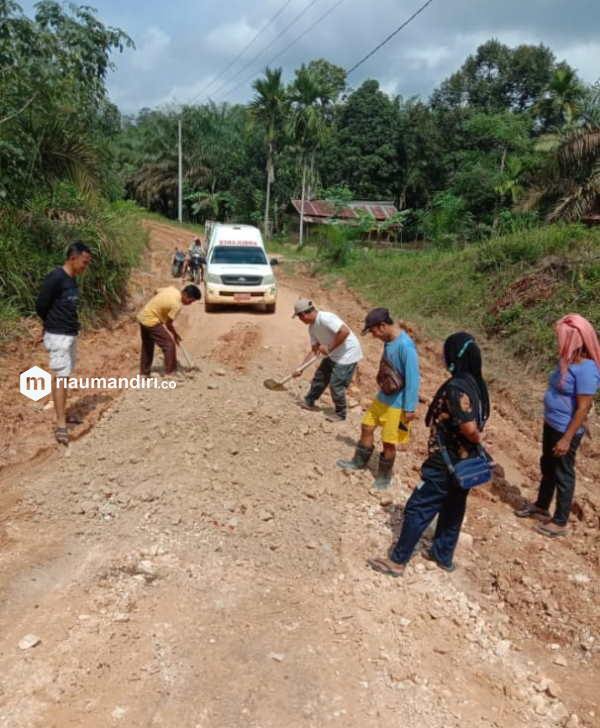 Rusak Parah, Warga Kampung Baru Ibul Kuansing Perbaiki Jalan Provinsi Secara Swadaya